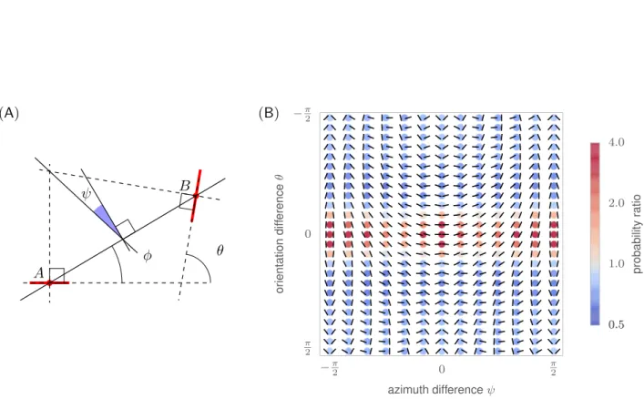 Figure 14.7: Statistics of edge co-occurences (A) The relationship between a pair of edges can be quantified in terms of the difference between their orientations θ, the ratio of scale σ relative to the reference edge, the distance d = k ABk~ between their