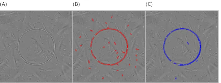 Figure 14.8: Application to rapid contour segmentation We applied the original sparse edge framework to (A) the synthetic image of a circle embedded in noise