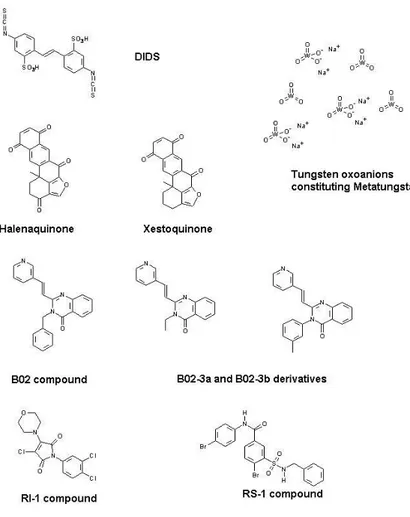 Figure 4. Structure of chemical molecules modulating the Rad51 recombinase activity.