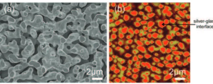 Figure 3. SEM (a) and AFM (30  30 lm 2 ) images showing the surface of a silver solder after removal of the glass slide positioned on its top