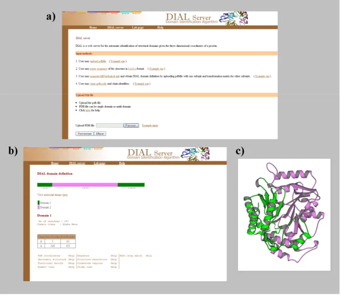 Figure 1. DIAL web server. (a) the entrance page of DIAL where the use upload the PDB file,  (b) the result of DIAL cutting process of dialkylglycine decarboxylase (PDB code 1ZOB), (c)  visualization of the cutting with Molscript software (Kraulis 1991)