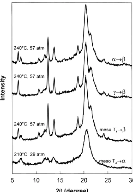 Figure 10. X-ray diffraction patterns of glassy sPS treated with 122 atm CO 2 at the various temperatures shown