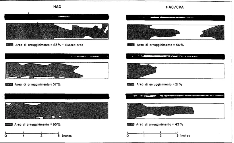 Fig, 7. Corrosione della borra di armaturo nei calcestruzzi dopa Ie prove di scogliamento