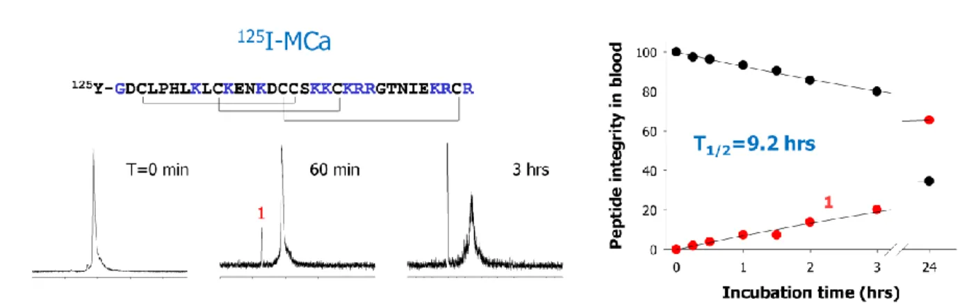 FIGURE  3:  HPLC  elution  profile  of  iodinated  tyr-maurocalcine  analogue  as  a  function  of  time  of  incubation  in  mice  blood