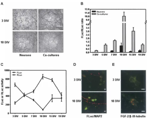 Fig. 6 live 4/C