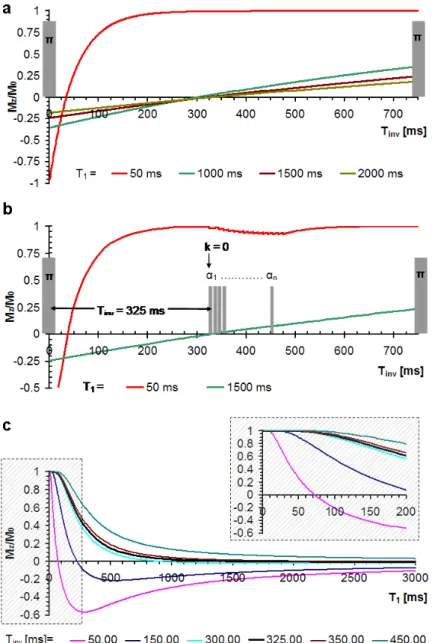 Figure 4. a: The longitudinal magnetization component M z  in an IR sequence with 750 ms repetition time is plotted after dynamic equilibrium has installed