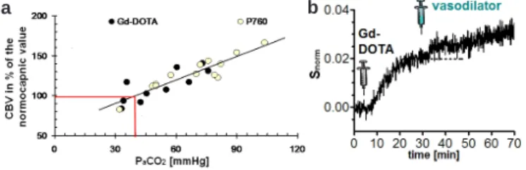 Figure 7. a: A hypercapnia experiment demonstrates CBV increase in healthy rats. b: In healthy mice, the S norm  signal during the RSS increases shortly after intraperitoneal injection of the vasodilator acetazolamide.