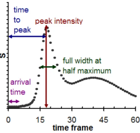 Figure 2. Characteristic signal intensity (S) time course during CA bolus passage. After the first high peak, the second peak corresponds to the second bolus passage after recirculation.