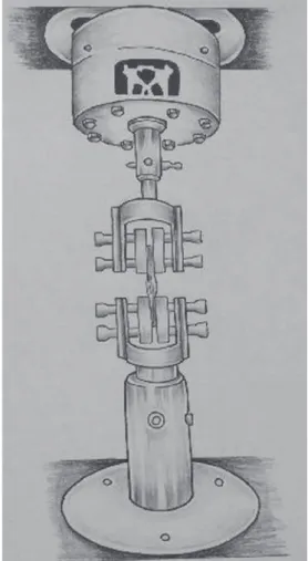 Fig. 1 Drawing of clamps used to grip the tendon specimens based on Shi et al. [13] and Handl et al