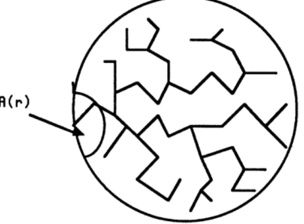 Figure  1:  The  exodic  tree  on  a  - A(r).