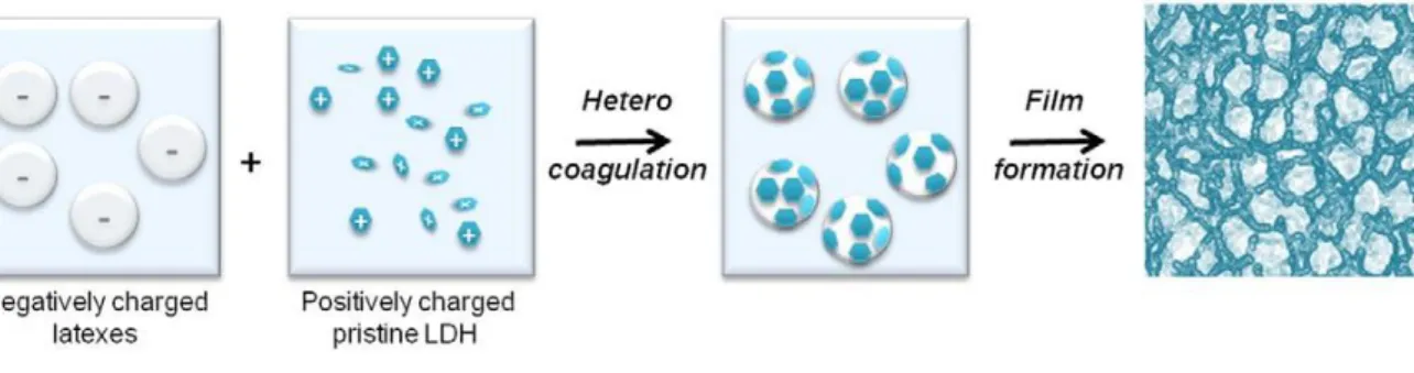 Figure  2.  Scheme  illustrating  electrostatic  self-assembly  of  LDH  platelets  with  oppositely- oppositely-charged  P(MMA-co-BA)  latex  particles  and  the  subsequent  formation  of  a  nanocomposite  film with honeycomb-like 3D microstructure
