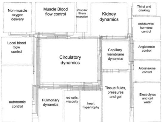 Figure 1: Simplified diagram of the original Guyton 1972 model of the overall regulation of the cardiovascular system