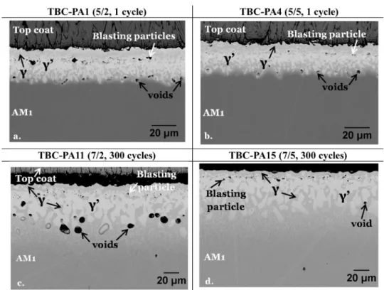 Fig. 1. Backscattered electron images of metallographic cross-sections of the Pt + Al γ-γ’ bond-coatings from the run 1: (a, b) TBC-PA1 and TBC-PA4 in the as- as-annealed condition, (c, d) TBC-PA11 and TBC-PA15 after 300 cycles at 1100 °C.