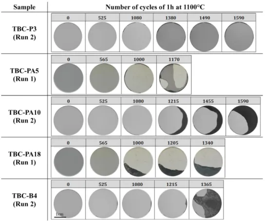 Fig. 4. Spallation kinetics of systems from run 1 after thermal cycling at 1100 °C.