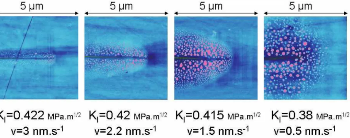 Figure 12. AFM topographical images of a propagating crack in soda-lime glass at different crack velocities for RH=45%.