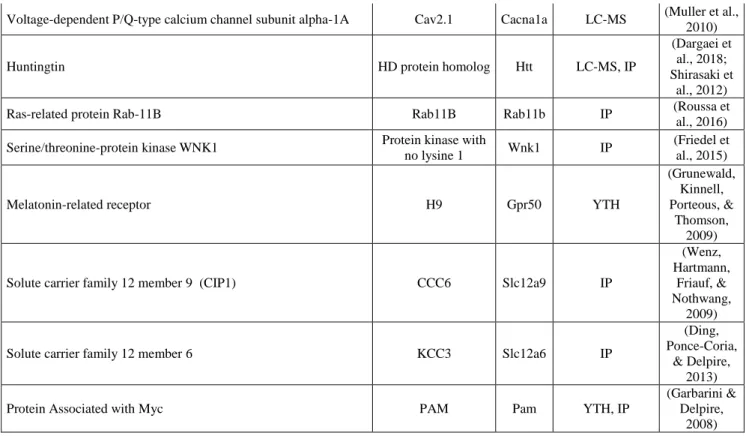 Table  1.  KCC2  molecular  interactions  in  cortical  neurons.  The  table  shows  putative KCC2 interactors, as identified in yeast two-hybrid (YTH), GST pulldown  (GST),  immunoprecipitation  (IP)  or  liquid  chromatography  and  mass  spectrometry  (