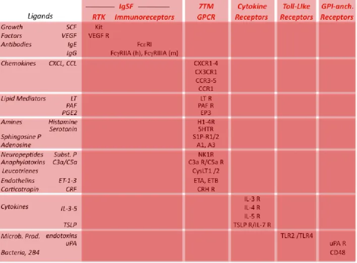 Table 1: Activating receptors expressed by mast cells. 