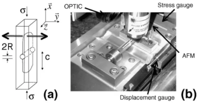 Fig. 1: Experimental setup: (a) Sketch of the DCDC geometry;