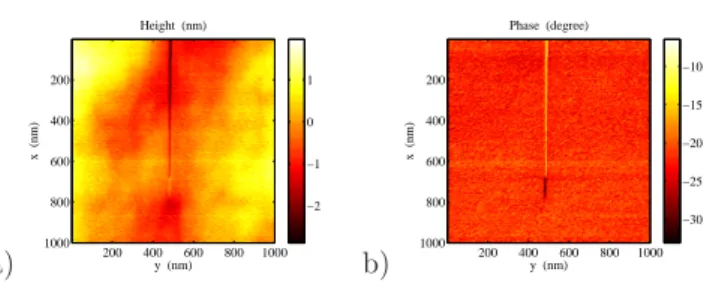 Fig. 2: Topographic (a) and phase (b) images. The whole crack path appears to be clearly visible on the phase map, but the crack tip can hardly be perceived on the topographic image.