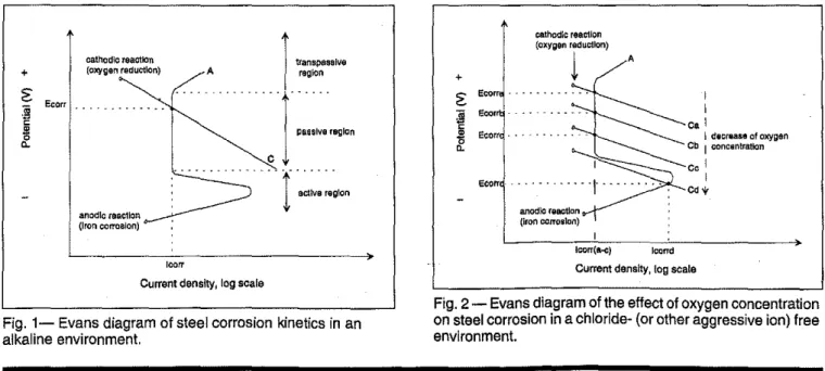 Fig. 1- Evans diagram of steel corrosion kinetics in an alkaline environment.