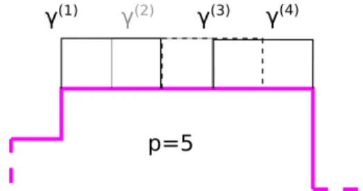 Figure 8: Neighbourhood of the north pole of a curve γ ∈ I r (thick line) and the γ (k) , k ≤ p − 1 = 4.