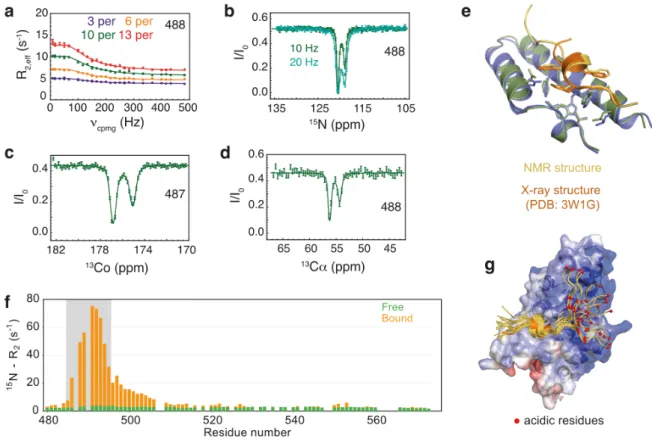 Figure  9.  (a)  15 N  CPMG  dispersion  profiles  for  representative  residues  of  Artemis  at  the  interface with Ligase IV