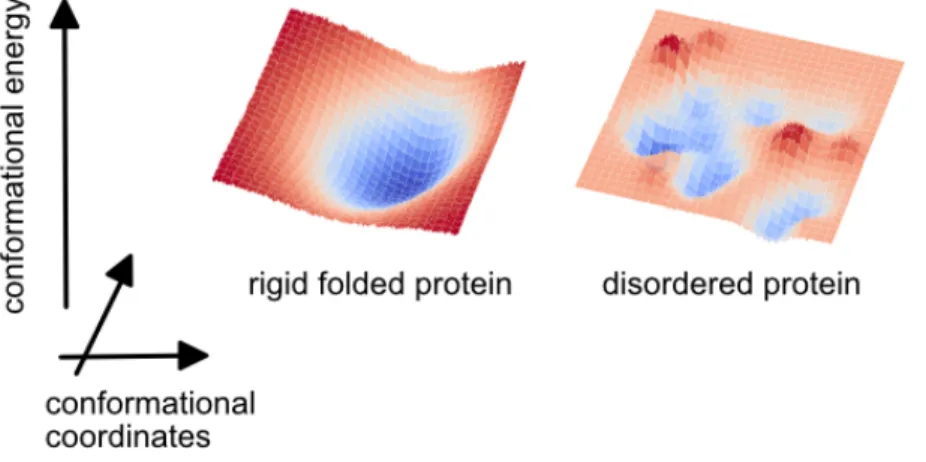 Figure 1. Schematic representation of the conformational energy profiles of a rigid folded  protein and an intrinsically disordered protein