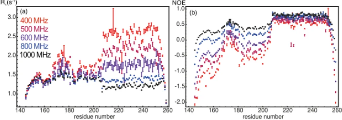 Figure 2. (a) Nitrogen-15 longitudinal relaxation rates and (b) steady-state  15 N-{ 1 H} nuclear  Overhauser effects recorded on the protein Engrailed 2 at magnetic fields ranging between  400 MHz (9.4 T) and 1 GHz (23.5 T)