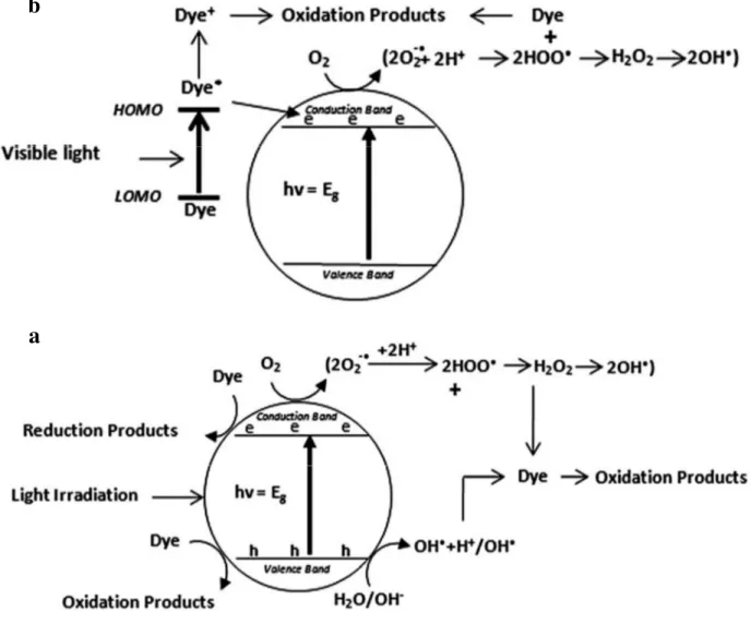 Figure 4 :  Indirect (a) and direct (b) dye degradation processes. &#34;Reprinted with permission  from (Ajmal et al