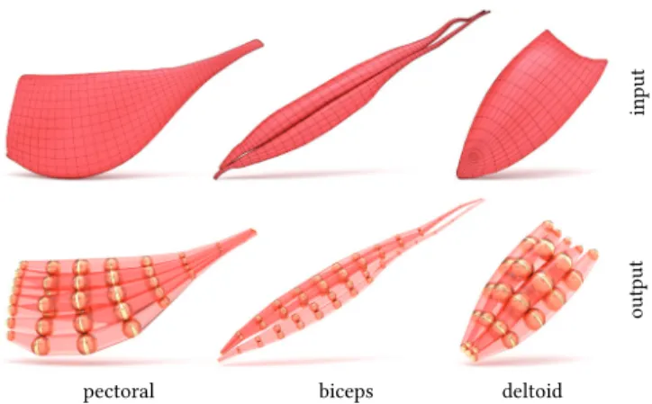 Fig. 11. The mesh-to-VIPER conversion process. Given source/sink con- con-straints, we compute a harmonic function in the volume, and extract a few discrete iso-levels