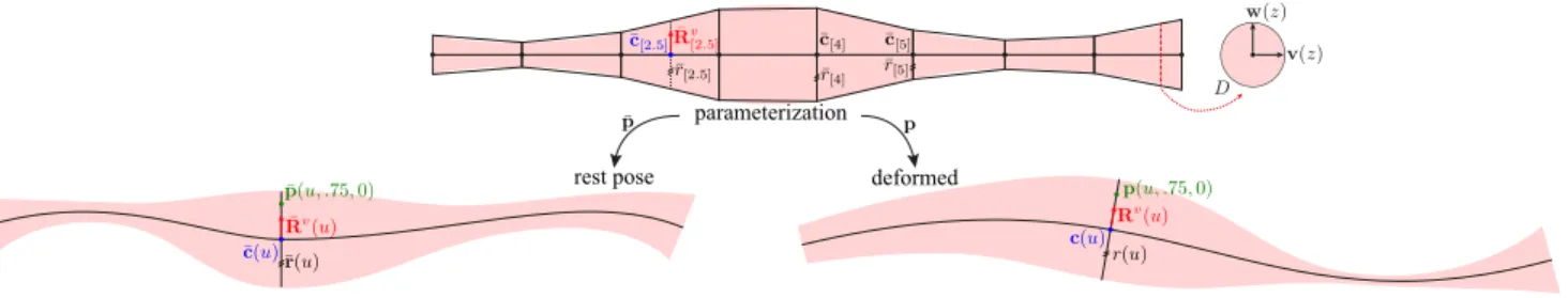 Fig. 4. (top) The parameterization of a VIPER rod, and its discretization. (left) Its rest configuration, and (right) a deformed configuration.