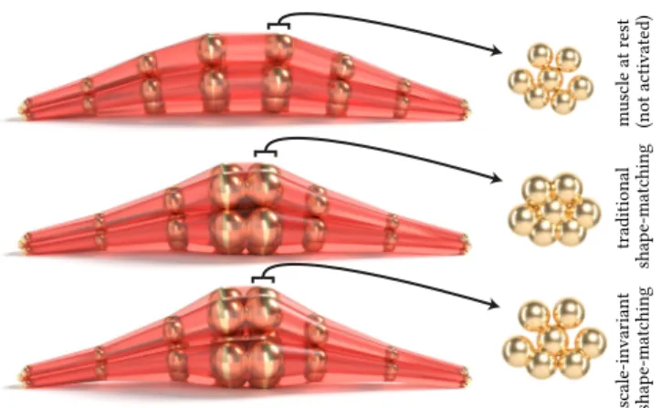 Fig. 9. Scale-invariant shape matching – Shape matching can recover a rigidly transformed configuration, while our model allows for a null-space that includes uniform scale