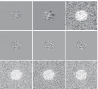 Fig. 1: The 1 st row represents the tissue reflectivity function, the ultrasound RF image and the corresponding B-mode  im-age (obtained after envelope detection and log-compression from the RF image) from left to right; The 2 nd row depicts the compressiv