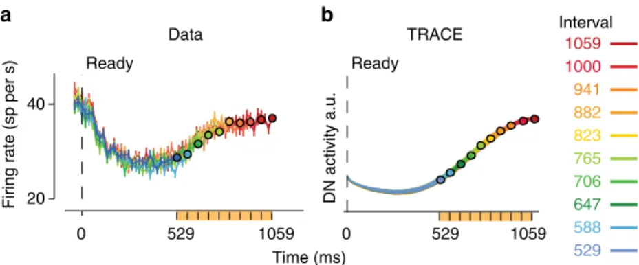 Fig. 6 Comparison of TRACE with electrophysiology data. a Physiology. Activity in the lateral intraparietal (LIP) area of monkeys performing the RSG task is modulated nonlinearly during the range of the prior (orange) between 529 and 1059 ms