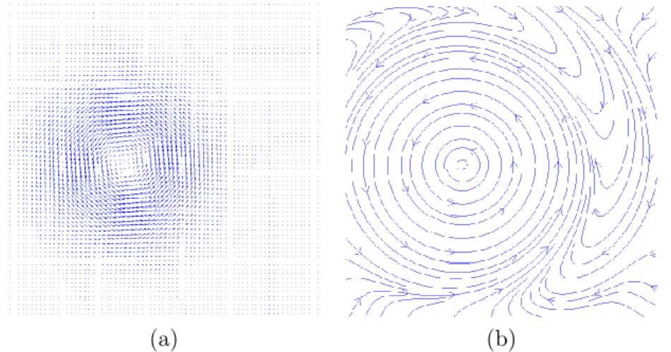 Figure 1: True (experimental) vector field, isolated vortex; (a) vector field plotting, (b) streamlines plotting
