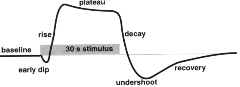 Figure 2.1:  Characteristic  BOLD  signal  transient  behavior. The  sequential phases  of sig- sig-nal  evolution  are  described  in detail  below.