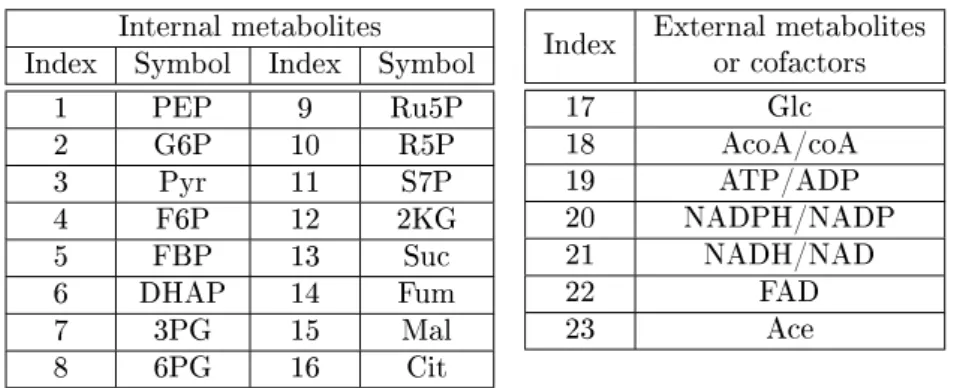 Fig. 3 shows a (simplied) representation of entral arbon metabolism in E.