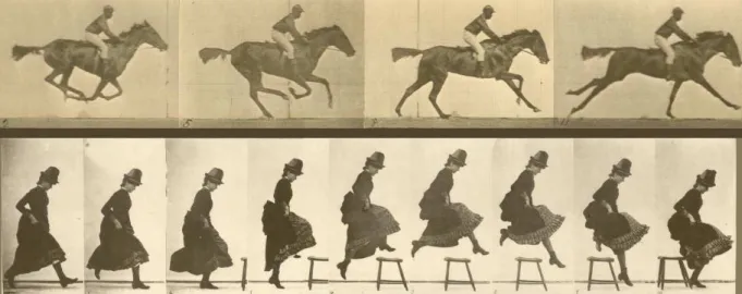 Figure 2.2: Excerpt from two of the Muybridge sequences. Top: excerpt from sequence Ani- Ani-mals and Movements, Horses, Gallop; thoroughbred bay mare, Annie G
