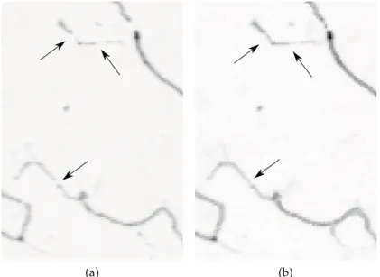 Figure 7 : 2D image of a neurite (a) and the result from filtering with the Morpho-Hessian (b).