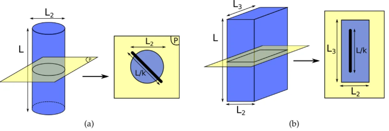 Figure 13 : A path opening with path length L efficiently preserves a curvilinear structure (a) but also a plane-like structure (b)