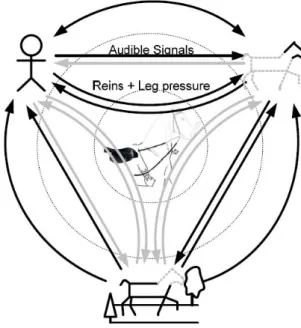 Figure 2.22 – Les diﬀ´ erents interactions entre le cavalier et son cheval [36]