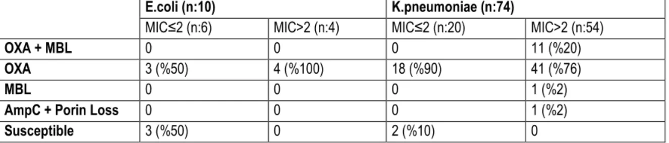 Table  1.  Resistance  rates  and  mechanisms  of  the  bacteria  isolated  from  rectal  swabs  in  MacConkey  agar  containing  Meropenem