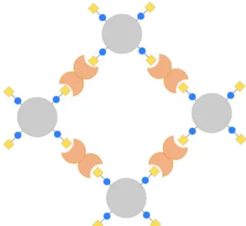 Figure 6: The galectin-glycoprotein lattice. Galectin  dimers or oligomers (brick) bind  lactosamine-containing glycans (yellow/blue) on glycoproteins  (grey) with multiple N- or O-glycosylation sites