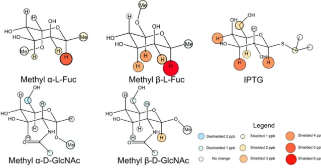 Figure 5: CH-pi interactions involving fucose and N-acetylglucosamine resemble those involving galactose  and glucose respectively