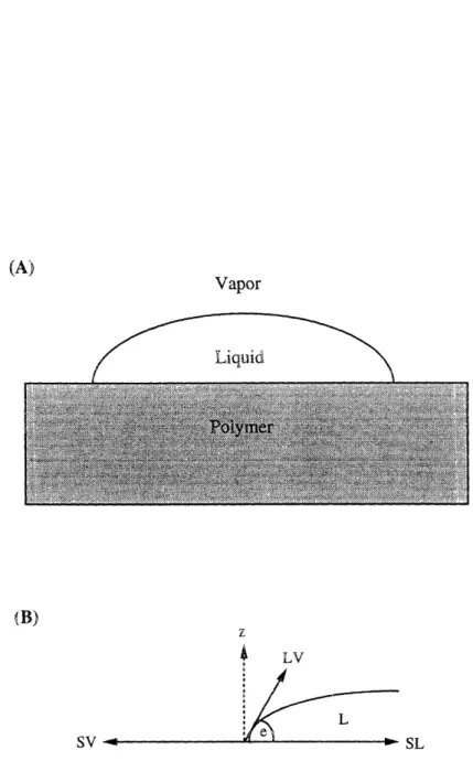 Figure  4-6:  (A) Example  of droplet  used for contact angle  measurements.  (B) Schematic illustration  of force balance  in contact angle measurements.