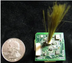 Figure 1. A ChainMail node placed next to a quarter  for scale. Note novel whisker sensor protruding from 