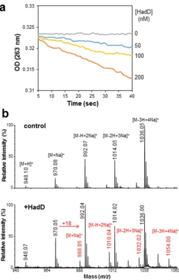 Figure 2.  HadD belongs to the hydratase/dehydratase family. (a) Enzyme activity assays