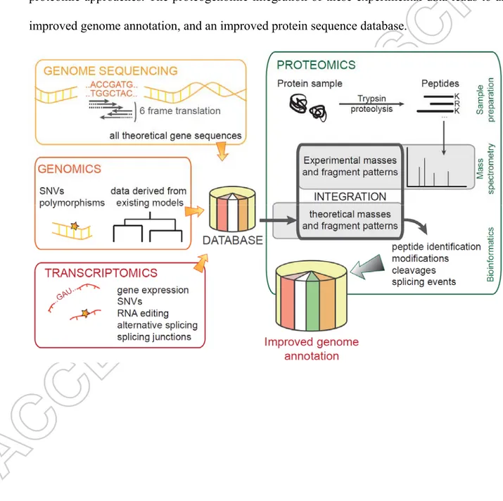 Figure 1. Overview of the proteogenomics pipeline. A database of theoretical protein 