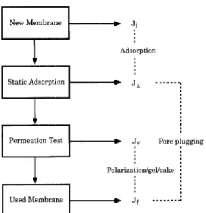 Fig. 4. Test sequence for evaluating  Ji,  Ja,  Jf  and  J~. 