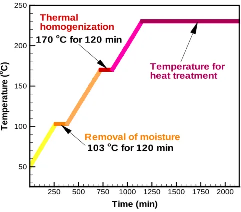 Fig. 3-2. Illustration of heating program during heat treatment. 